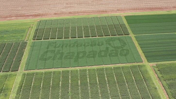 TecnoAgro acontece de 8 a 10 de março