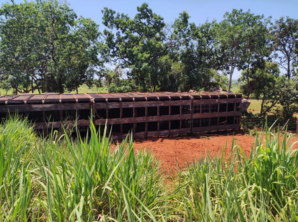 Motorista perde controle da direção, tomba carreta e morre na MS-377