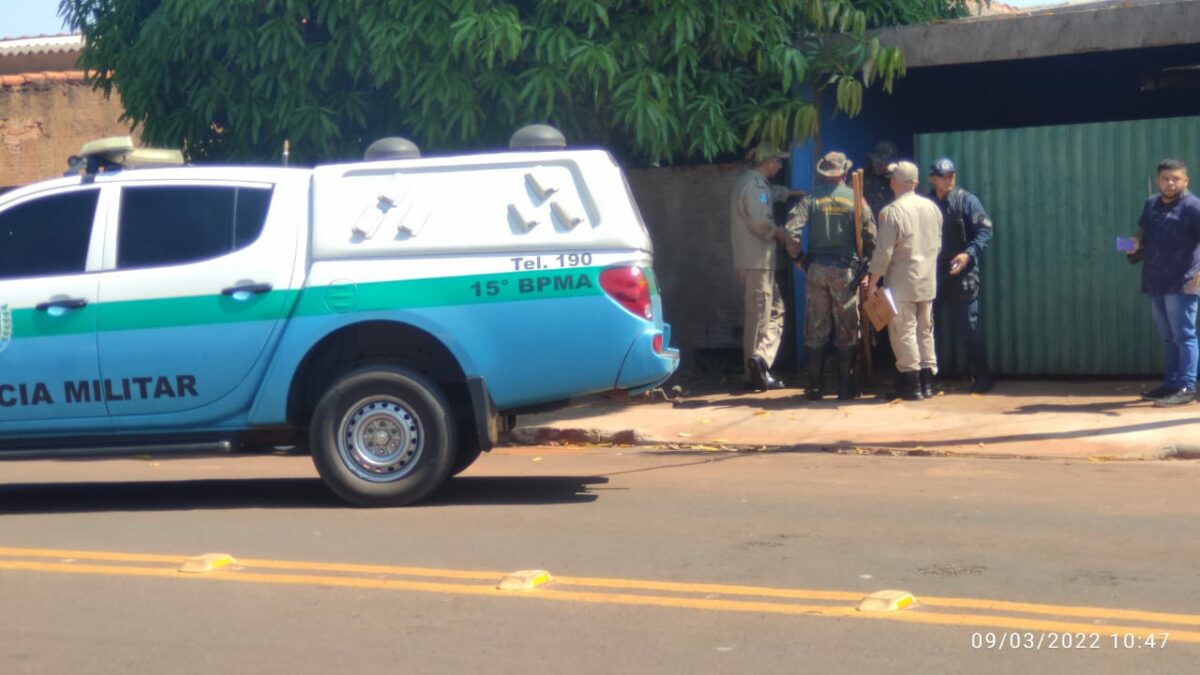 Onça invade casa em Bataguassu