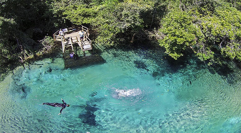 Bioparque Pantanal vai promover o turismo científico e ampliar percepção sobre ecologia