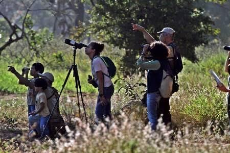 Bioparque Pantanal vai promover o turismo científico e ampliar percepção sobre ecologia