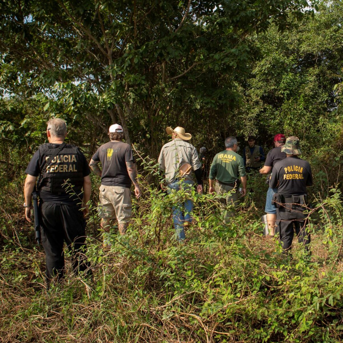 PF conclui investigação das onças mortas no Pantanal