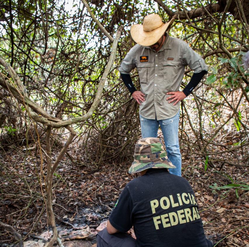 PF conclui investigação das onças mortas no Pantanal