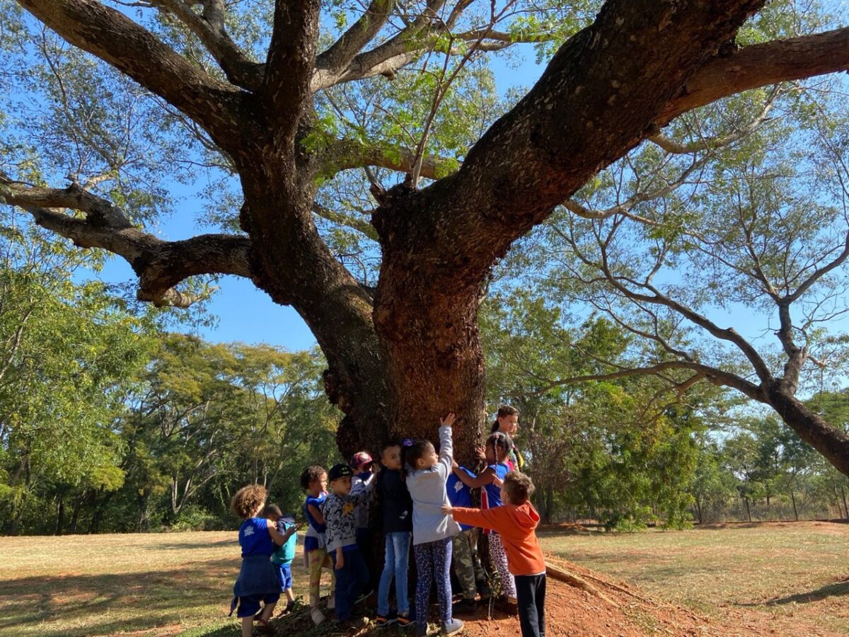 Meio Ambiente realiza trilha com alunos das escolas de Três Lagoas na APA Jupiá