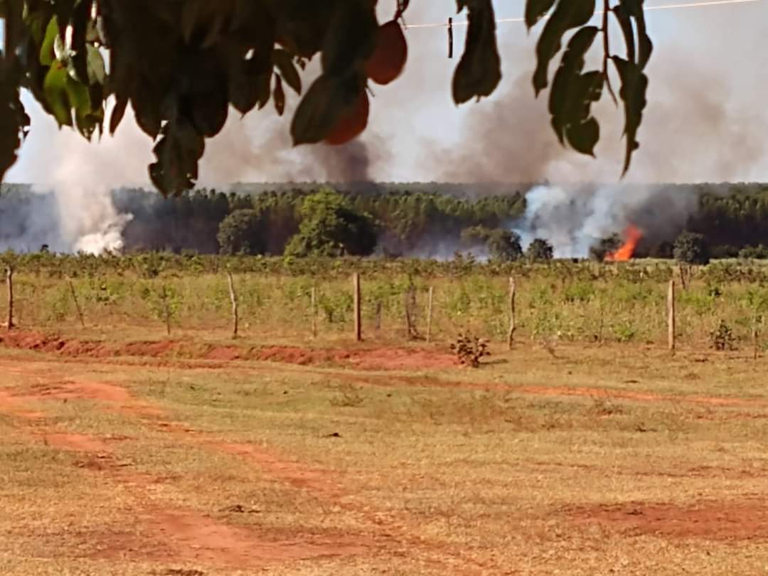 Estiagem atinge Três Lagoas e região; autoridades pedem conscientização da população para evitar queimadas