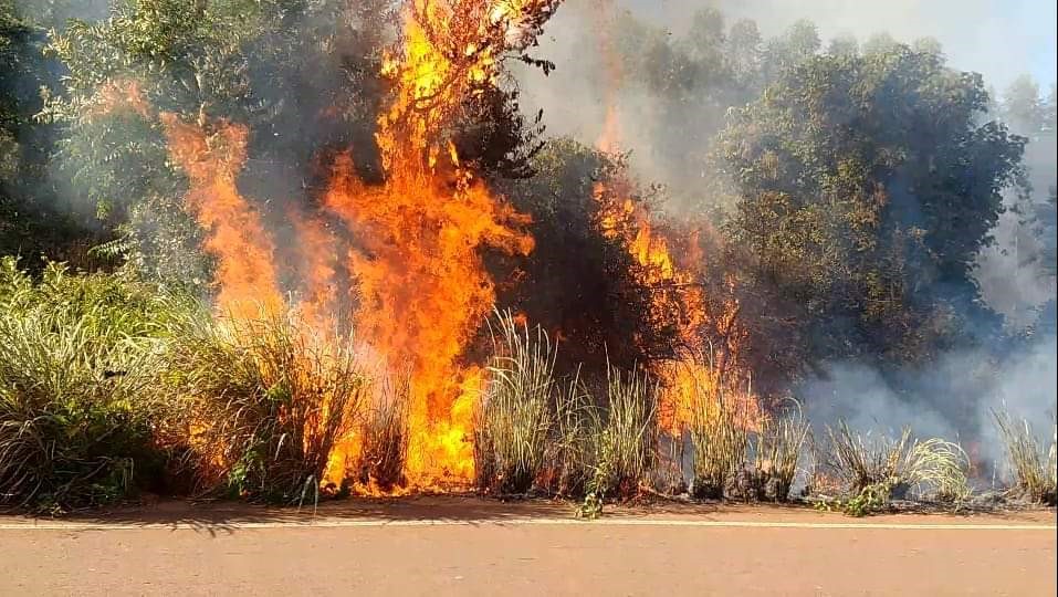 Estiagem atinge Três Lagoas e região; autoridades pedem conscientização da população para evitar queimadas