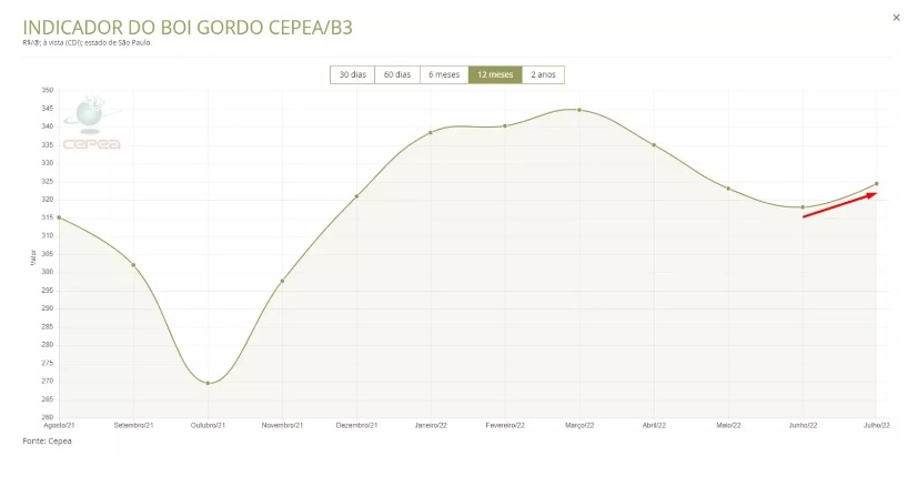 Preço do boi deve ter forte valorização nesta semana