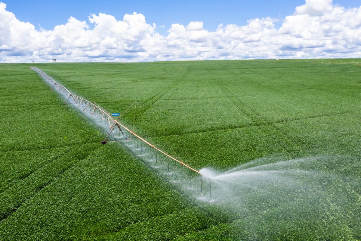 <strong>Irrigação muda realidade de fazenda em Mato Grosso do Sul e é tema de encontro inédito com principais especialistas do país</strong>