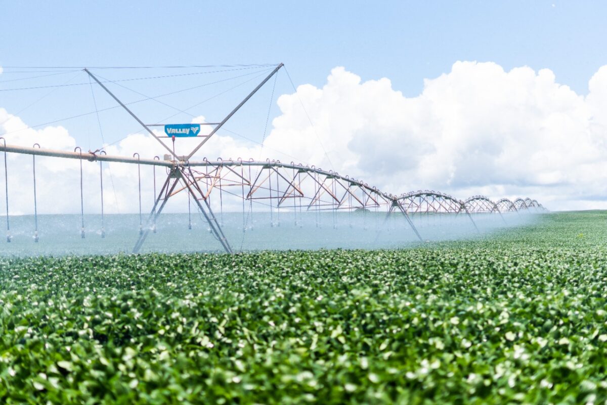 <strong>Irrigação muda realidade de fazenda em Mato Grosso do Sul e é tema de encontro inédito com principais especialistas do país</strong>