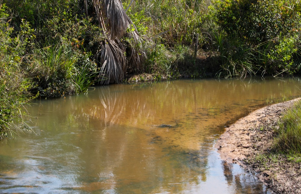 Pesquisadores classificam Parque do Pombo como referência em estrutura e preservação de espécies ameaçadas de extinção