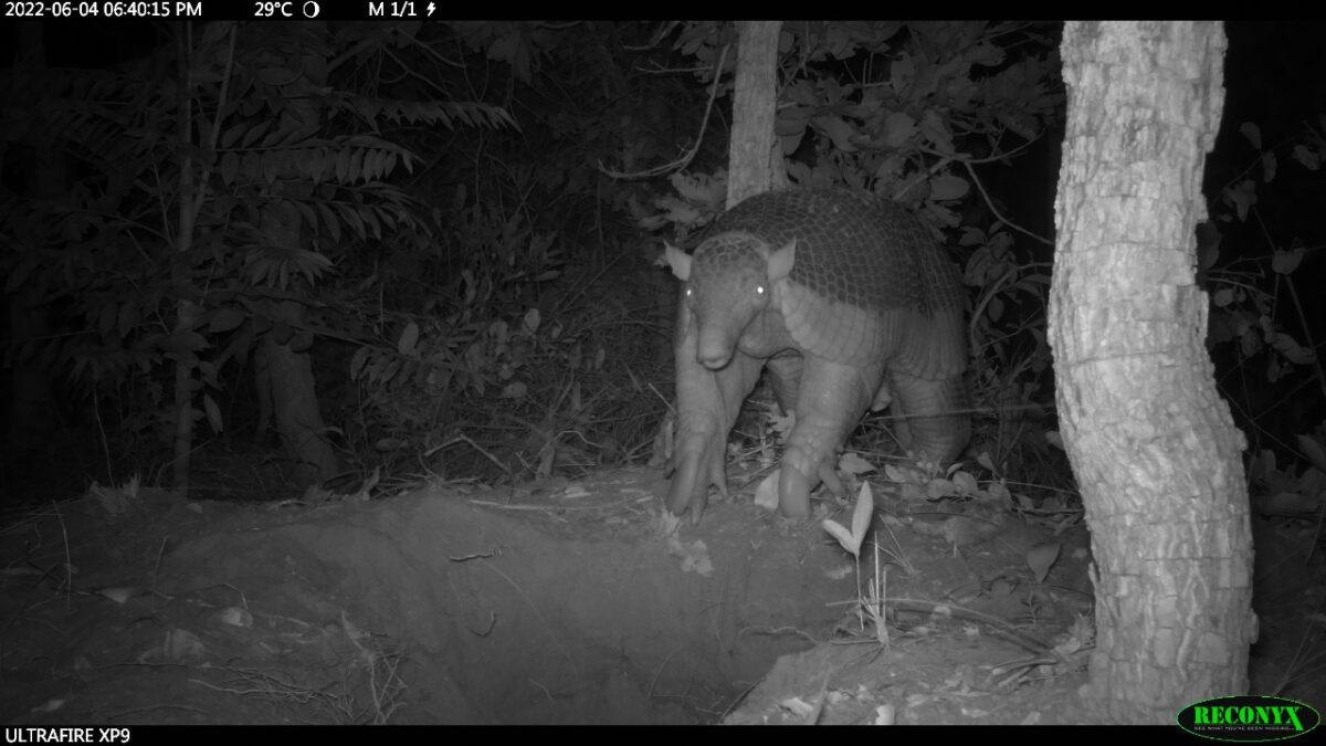 Pesquisadores classificam Parque do Pombo como referência em estrutura e preservação de espécies ameaçadas de extinção