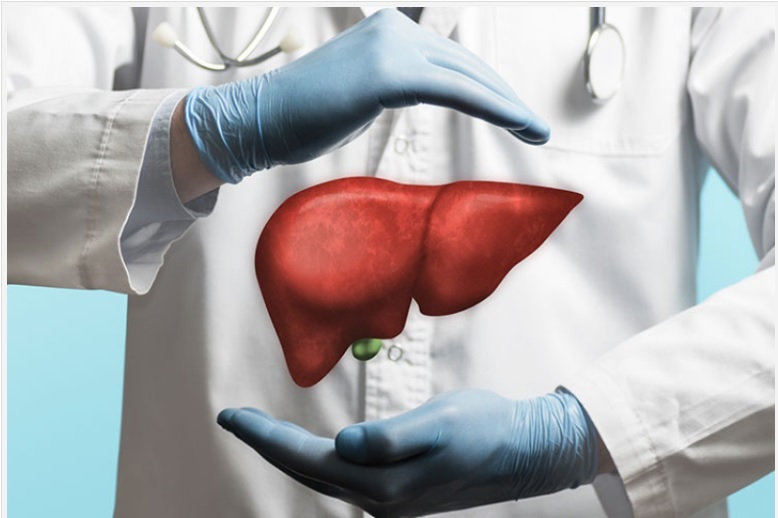 Transplante de fígado passa a integrar lista da ANS