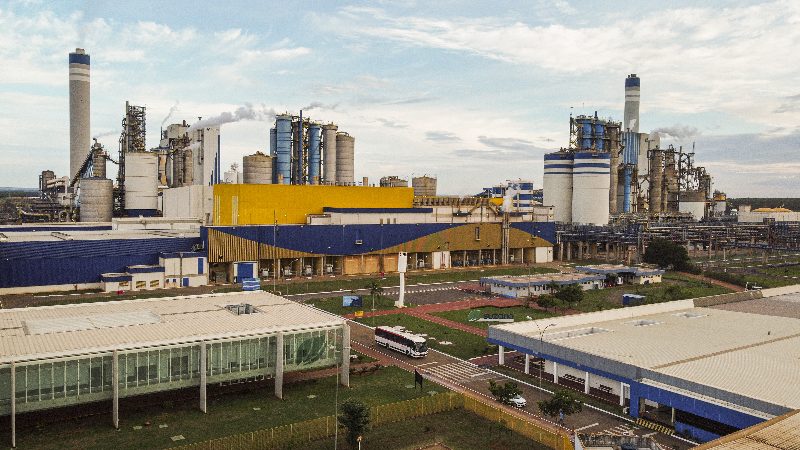 CELULOSE: MS vai ficar com R$ 34 bilhões dos 60,4 bilhões investidos do setor no Brasil
