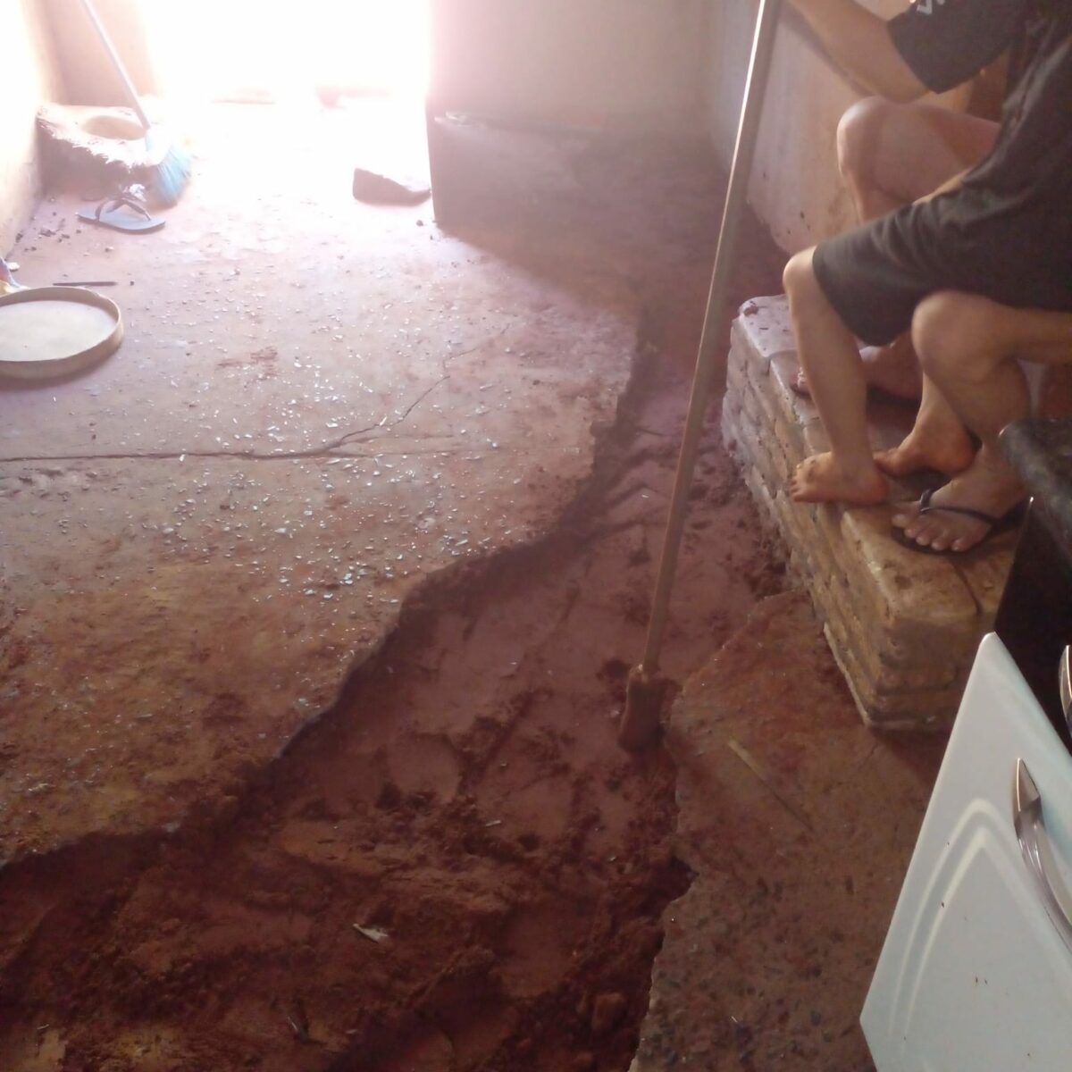 Tatu-canastra quase derruba casa após dois dias de escavação; o bicho foi capturado pela PMA