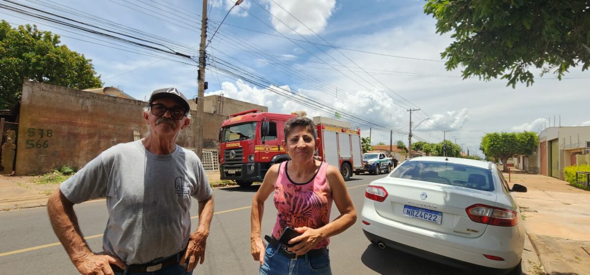 Arara fica presa em fio de telefone e é resgatada após chamado do Perfil News