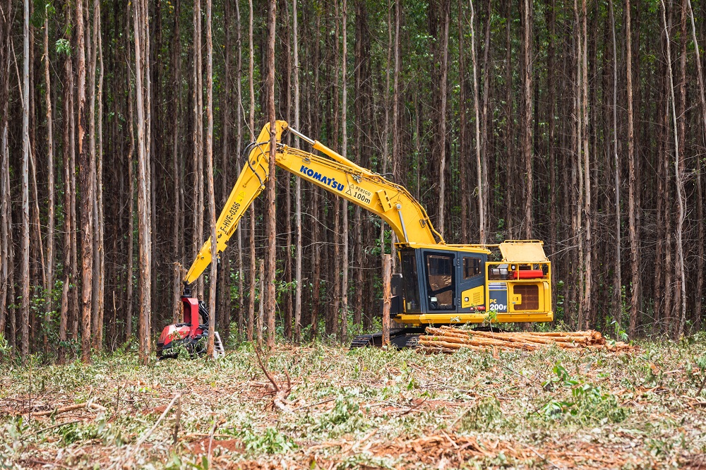 Apoiada em tecnologias de ponta, carreira na área florestal da Suzano se destaca por oportunidades de crescimento