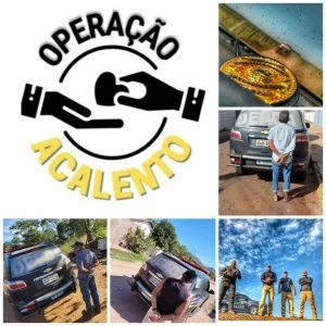 DEPCA faz balanço das operações realizadas em 2022 e divulga número de prisões