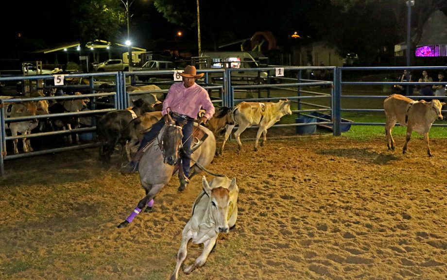 3ª Etapa de Ranch Sorting atraiu público de vários estados no último fim de semana em Três Lagoas