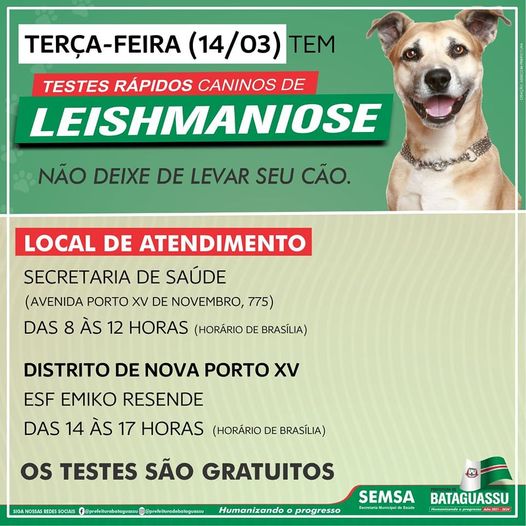 Saúde Municipal disponibiliza teste rápido de Leishmaniose canina em Nova Porto XV em Bataguassu