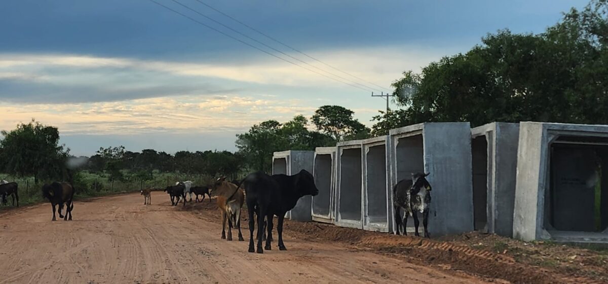 Contorno rodoviário de Três Lagoas deve ser concluído em pouco mais de 1 ano