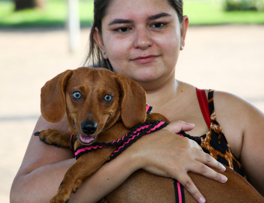 Projeto Protetoras em Ação e CCZ promoveu mais de 620 procedimentos em pets no sábado (25)