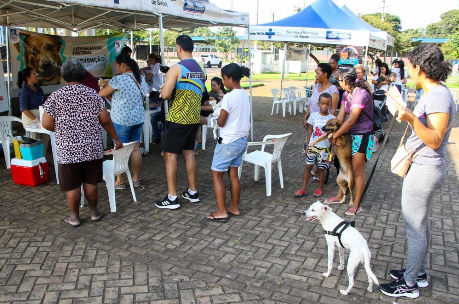 Projeto Protetoras em Ação e CCZ promoveu mais de 620 procedimentos em pets no sábado (25)