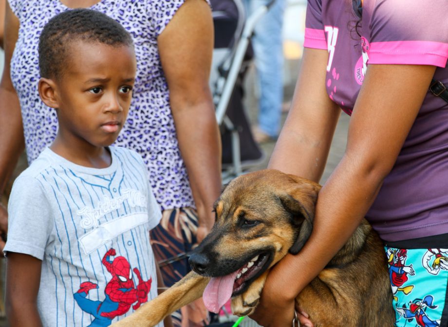 Projeto Protetoras em Ação e CCZ promoveu mais de 620 procedimentos em pets no sábado (25)