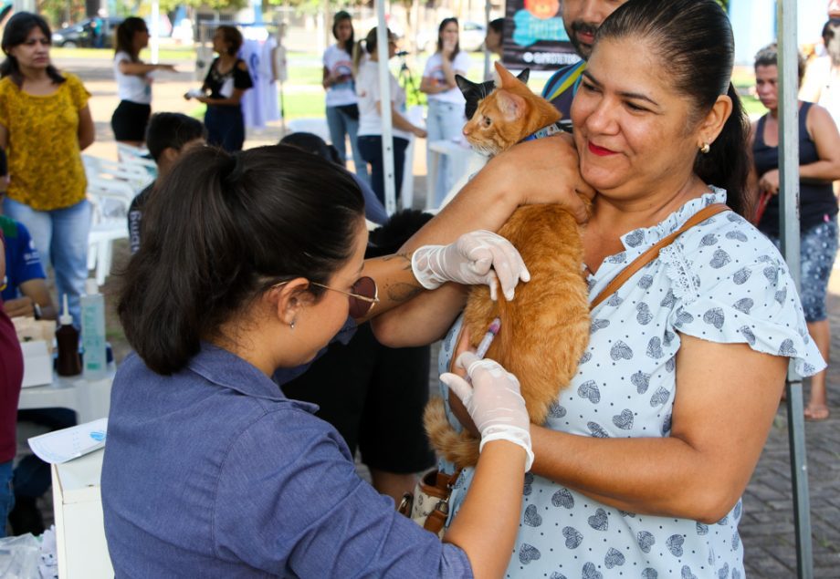 Projeto Protetoras em Ação e CCZ promoveu mais de 620 procedimentos em pets no sábado (25)