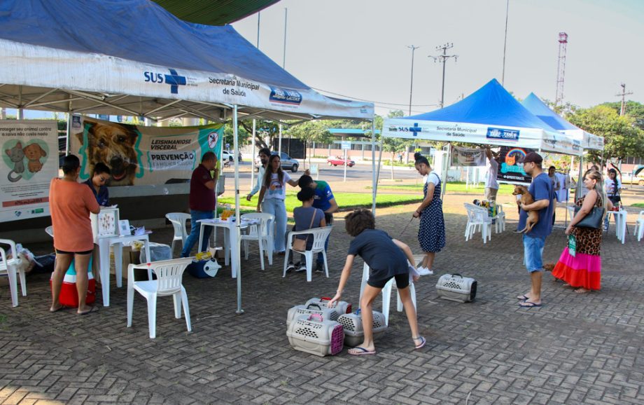 Projeto Protetoras em Ação e CCZ promoveu mais de 620 procedimentos em pets no sábado (25)