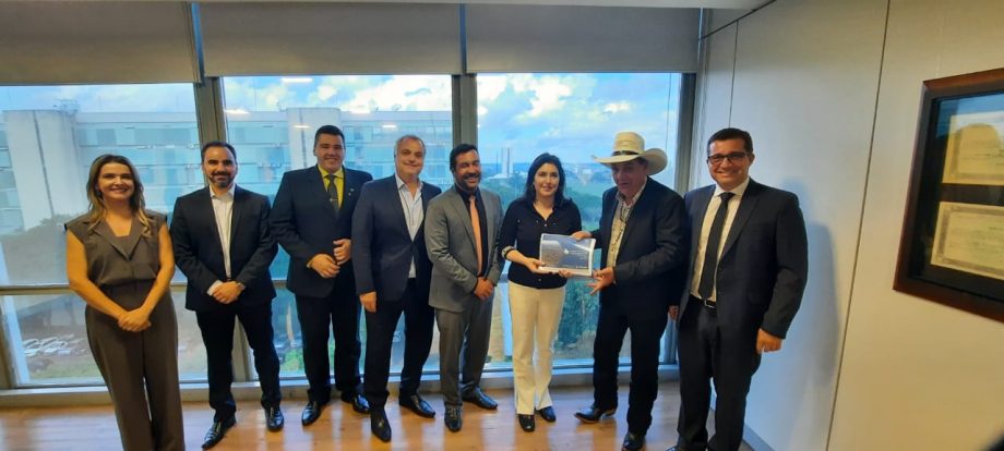 Novas obras e UFN-3 são pautas de reunião entre prefeito e vereadores de Três Lagoas com ministra do Planejamento