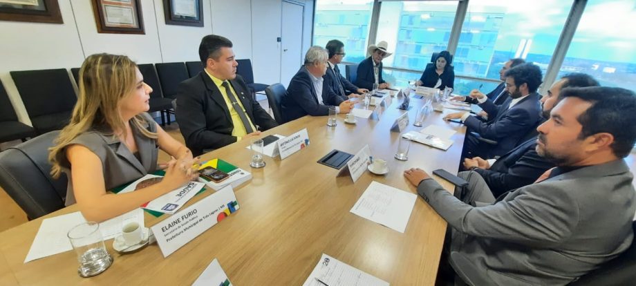 Novas obras e UFN-3 são pautas de reunião entre prefeito e vereadores de Três Lagoas com ministra do Planejamento
