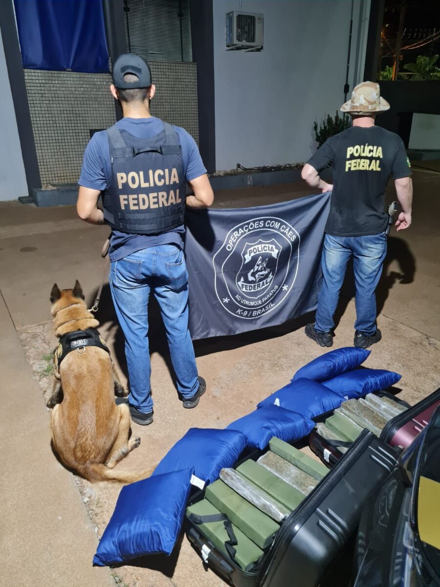 Polícia Federal apreende 32 quilos de maconha em ação com cães na BR-262