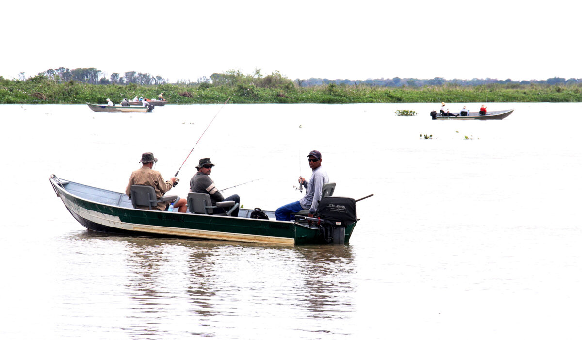 Com pesca e solte no Pantanal de Corumbá, 750 toneladas de peixes deixam de ser retirados dos rios