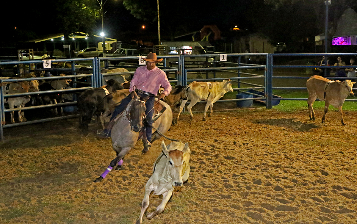 <strong>1º Ranch Sorting Estância Rebucci 2023 acontece neste sábado (29) em Três Lagoas</strong>