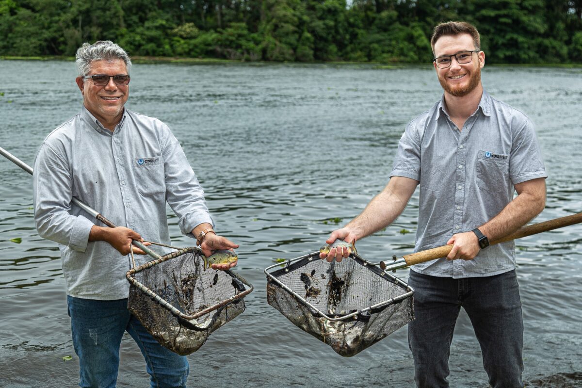 CTG Brasil solta 250 mil peixes no rio Paraná