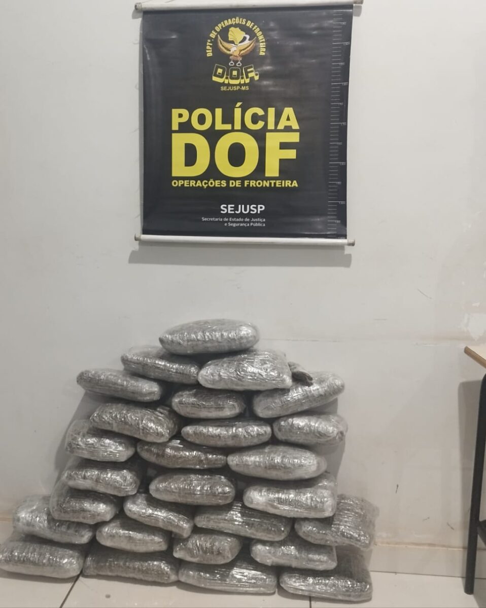 DOF apreende droga que seria comercializada em MS