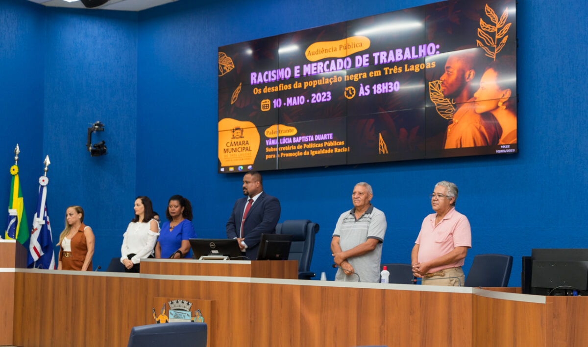 Racismo e mercado de trabalho em pauta durante audiência pública na Câmara