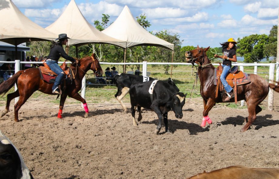 Ranch Sorting “Estância Rebucci” supera expectativas e atrai mais de 700 pessoas