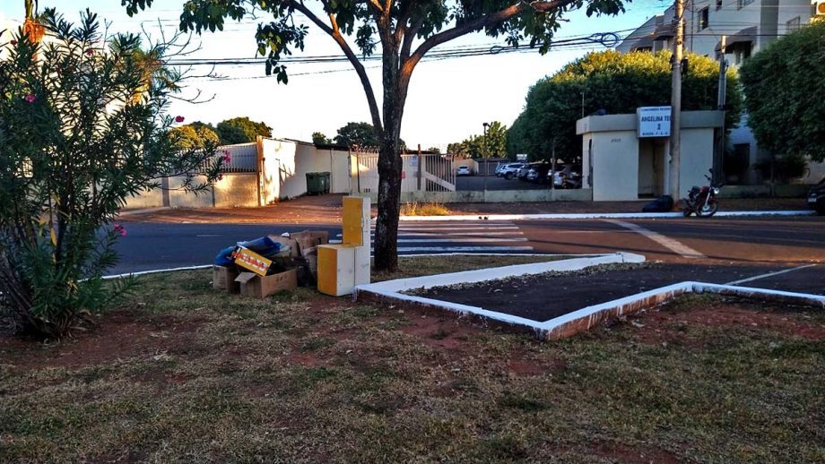 Meio Ambiente quer combater descarte de lixo, plantio irregular e fixação de placas nos canteiros centrais de TL