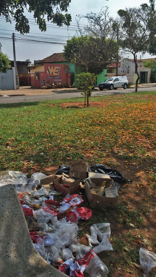 Meio Ambiente quer combater descarte de lixo, plantio irregular e fixação de placas nos canteiros centrais de TL