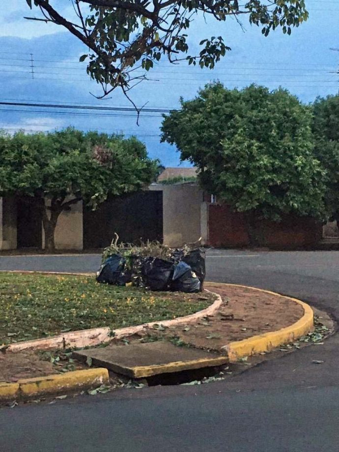 Meio Ambiente quer combater descarte de lixo, plantio irregular e fixação de placas nos canteiros centrais de TL