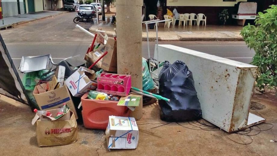 Meio Ambiente quer combater descarte de lixo, plantio irregular e fixação de placas nos canteiros centrais de TL