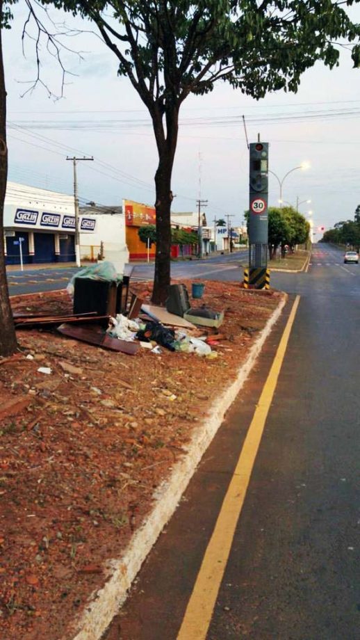 Meio Ambiente quer combater descarte de lixo, plantio irregular e fixação de placas nos canteiros centrais de TL