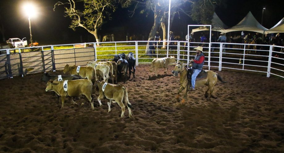 Competição de Ranch Sorting reuniu vários cowboys e cowgirls na Estância Boa Vista