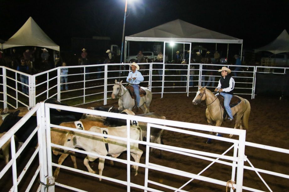 Competição de Ranch Sorting reuniu vários cowboys e cowgirls na Estância Boa Vista