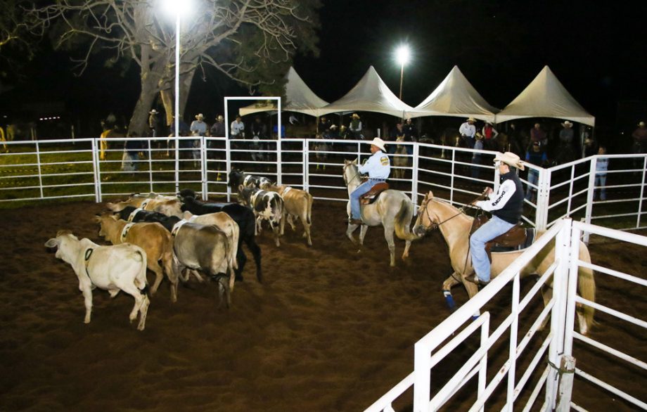 Competição de Ranch Sorting reuniu vários cowboys e cowgirls na Estância Boa Vista