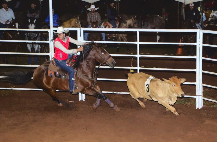 Competição de Ranch Sorting reuniu vários cowboys e cowgirls na Estância Boa Vista