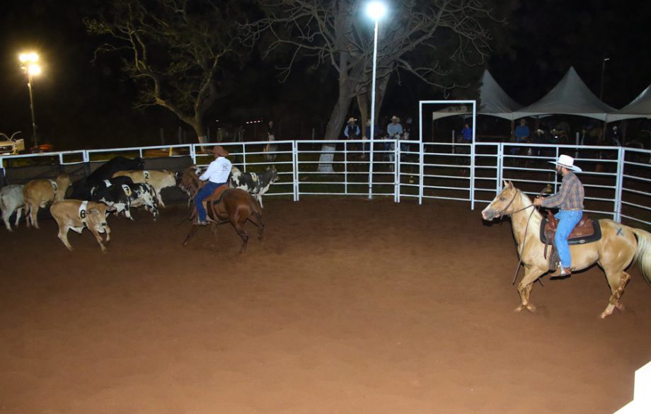 Competição de Ranch Sorting reuniu vários cowboys e cowgirls na Estância Boa Vista