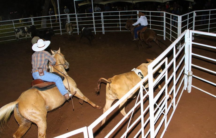 Competição de Ranch Sorting reuniu vários cowboys e cowgirls na Estância Boa Vista