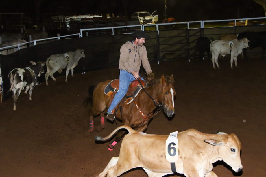 Competição de Ranch Sorting reuniu vários cowboys e cowgirls na Estância Boa Vista